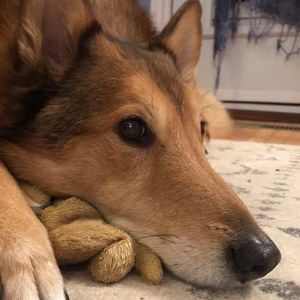 Meet your Posher, Gillian